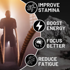 Collection of Shilajit Gummies jars in different sizes (30-, 60-, 90-day packs)