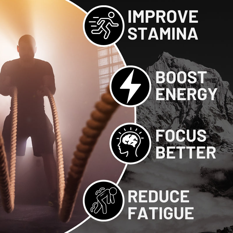 Collection of Shilajit Gummies jars in different sizes (30-, 60-, 90-day packs)